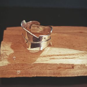 Anillo Hoja Calada Plata 950